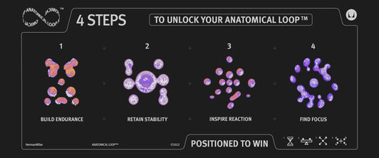 CHAIN REACTION: 4 STEPS TO UNLOCK YOUR ANATOMICAL LOOP™